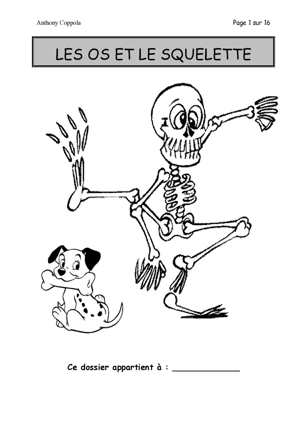 Squelette rp