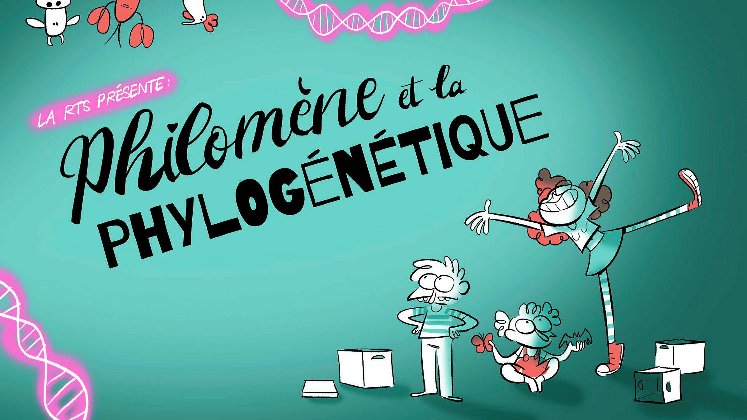 Cliquez ici pour consulter l'aperçu