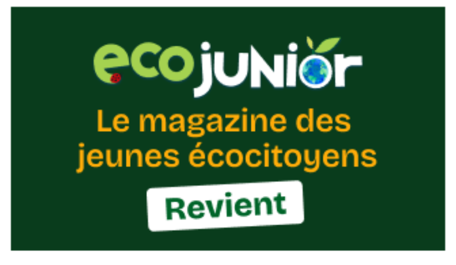 Cliquez ici pour consulter l'aperçu