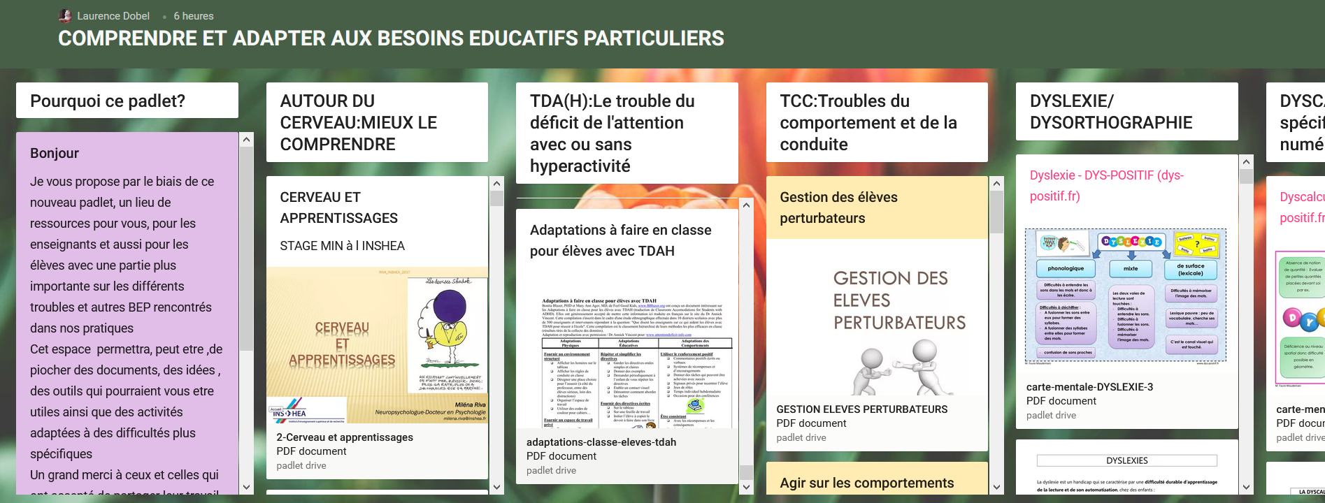 Cliquez ici pour consulter l'aperçu