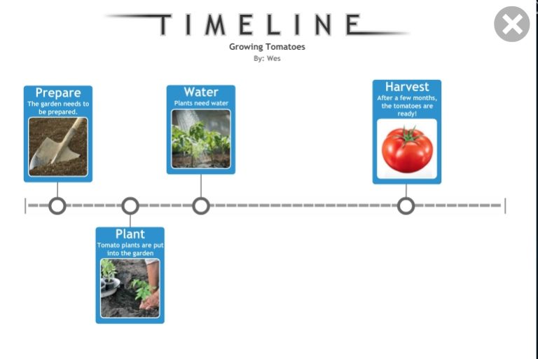 2-timeline-768x512.jpg