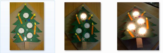 sapins-.jpg