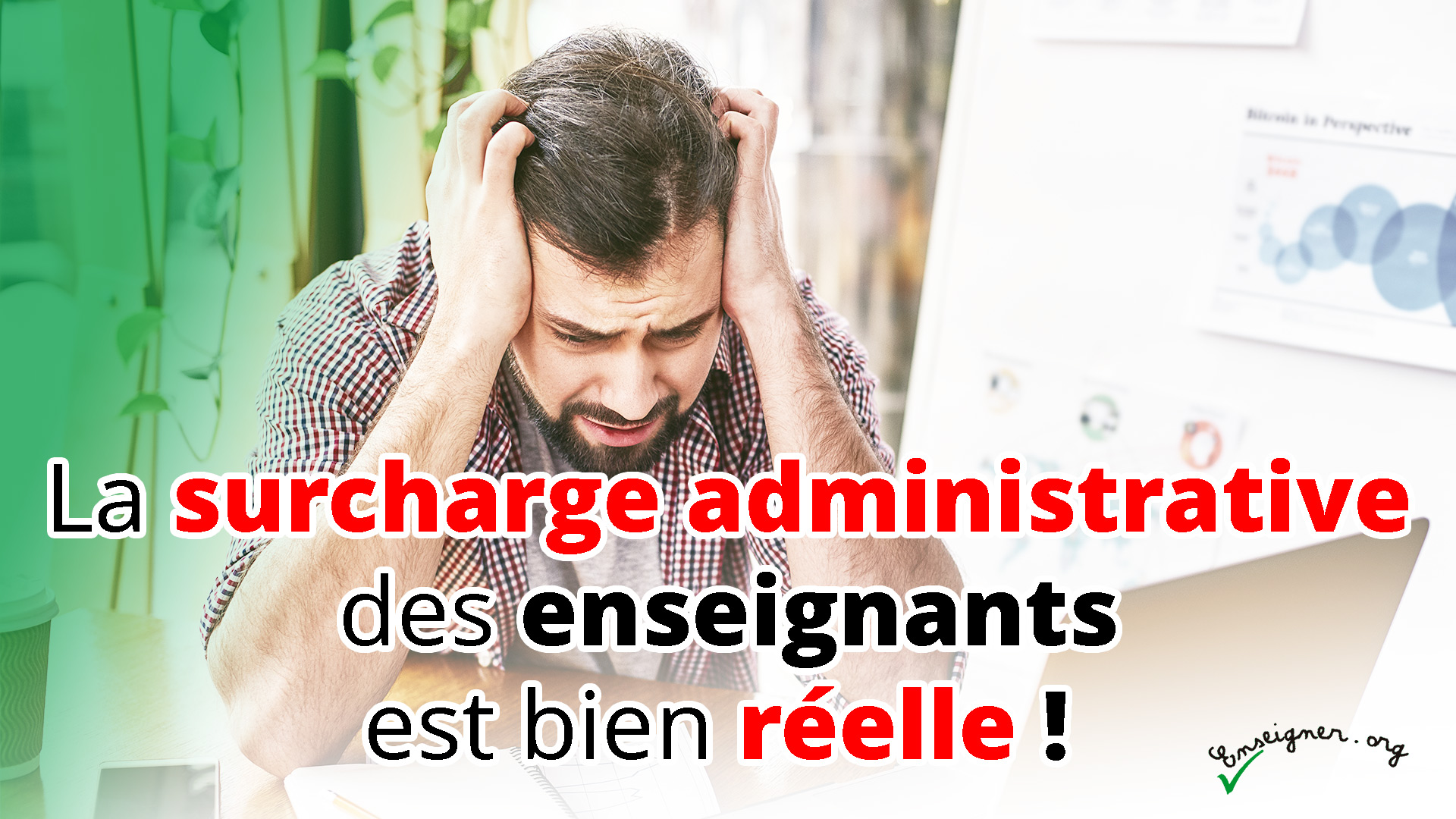 Cliquez ici pour consulter l'aperçu